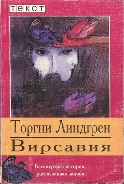 Торгни Линдгрен Вирсавия обложка книги