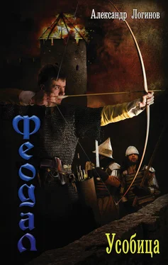 Александр Логинов Усобица обложка книги
