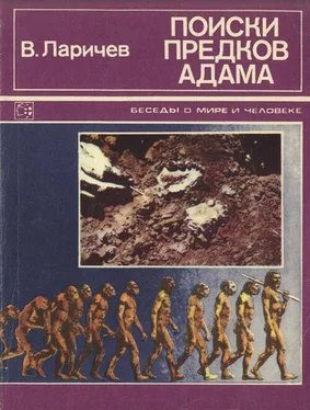 Владимир Ларичев Поиски предков Адама обложка книги