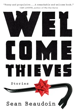 Sean Beaudoin Welcome Thieves обложка книги