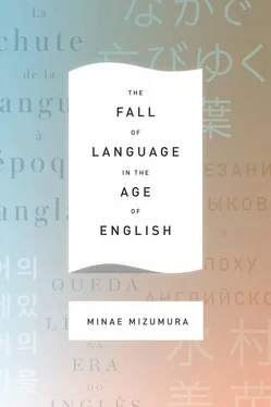 Minae Mizumura The Fall of Language in the Age of English обложка книги