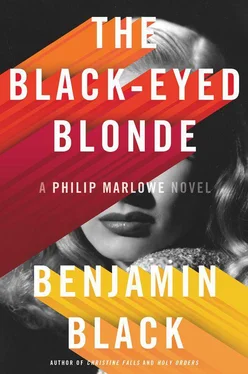 Benjamin Black The Black-Eyed Blonde обложка книги