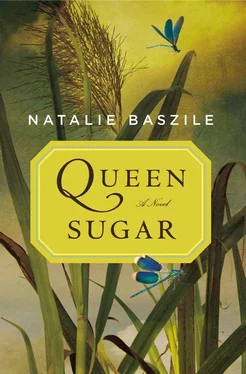 Natalie Baszile Queen Sugar обложка книги