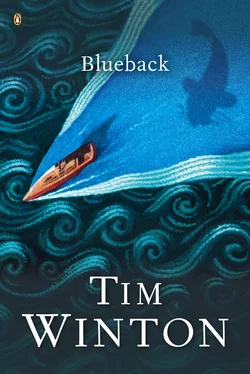 Tim Winton Blueback обложка книги
