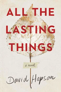 David Hopson All the Lasting Things обложка книги