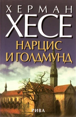 Херман Хесе Нарцис и Голдмунд обложка книги