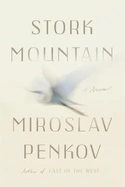 Miroslav Penkov Stork Mountain обложка книги