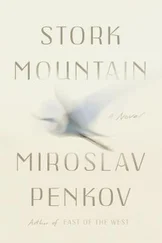 Miroslav Penkov - Stork Mountain
