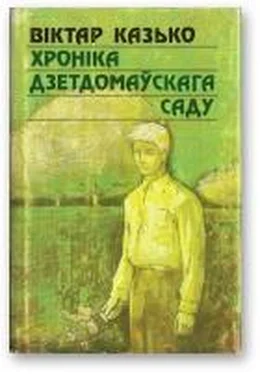 Віктар Казько Хроніка дзетдомаўскага саду обложка книги