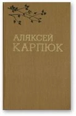 Аляксей Карпюк Выбраныя творы ў двух тамах обложка книги