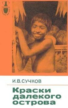 Илья Сучков Краски далекого острова обложка книги