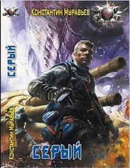 Константин Муравьев - Серый