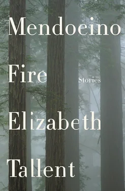 Elizabeth Tallent Mendocino Fire обложка книги