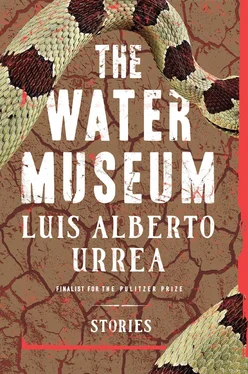 Luis Alberto Urrea The Water Museum обложка книги