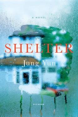 Jung Yun Shelter обложка книги