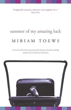 Miriam Toews Summer of My Amazing Luck обложка книги
