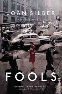 Joan Silber Fools: Stories обложка книги
