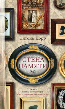 Энтони Дорр Стена памяти (сборник) обложка книги