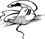 Огонь Почти все горожане собрались на площади и на улицах было пусто - фото 52