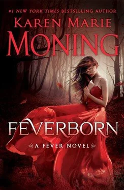 Karen Moning Feverborn обложка книги