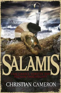 Christian Cameron Salamis обложка книги