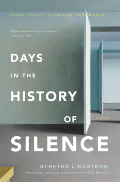 Merethe Lindstrom Days in the History of Silence обложка книги