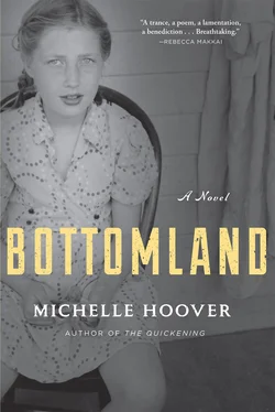 Michelle Hoover Bottomland обложка книги