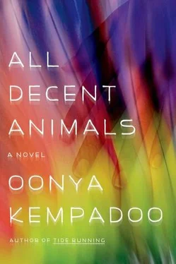 Oonya Kempadoo All Decent Animals обложка книги