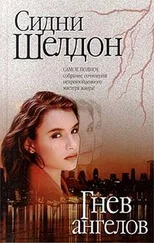 Сидни Шелдон - Гнев ангелов