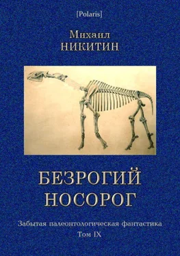 Михаил Никитин Безрогий носорог обложка книги