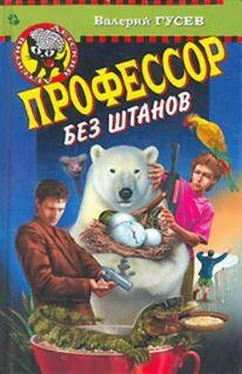 Валерий Гусев Профессор без штанов обложка книги