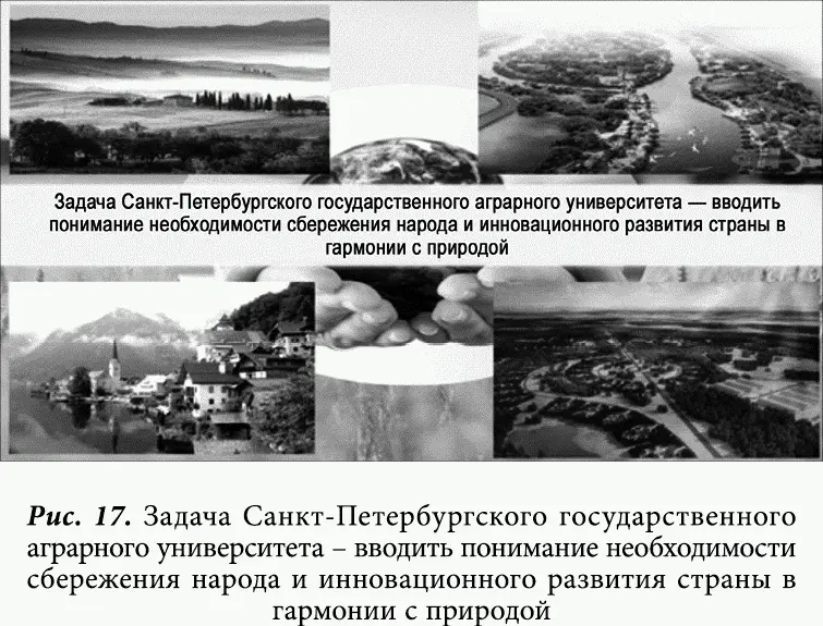 Но кроме того стратегия ландшафтноусадебной урбанизации требует - фото 18