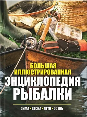 Павел Мотин Большая иллюстрированная энциклопедия рыбалки. Зима. Весна. Лето. Осень обложка книги