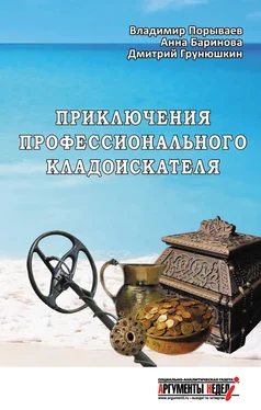 Анна Баринова Приключения профессионального кладоискателя обложка книги