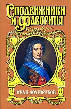 Софья Бородицкая Две невесты Петра II обложка книги