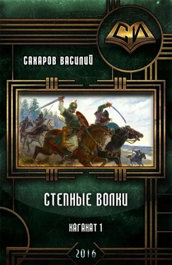 Василий Сахаров Степные Волки (СИ) обложка книги