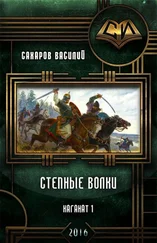 Василий Сахаров - Степные Волки (СИ)