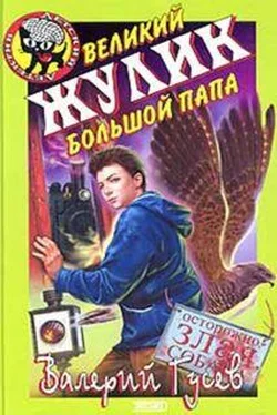 Валерий Гусев Великий жулик Большой папа обложка книги