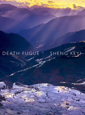 Sheng Keyi Death Fugue обложка книги