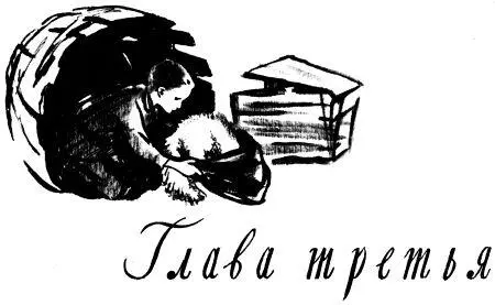В эту ночь мне даже ничего не снилось Я спал до самого утра спокойно Попив с - фото 8