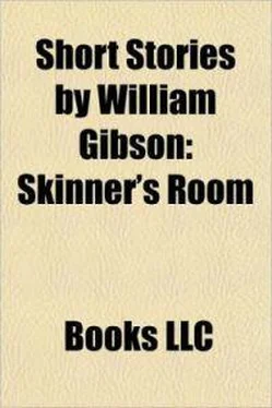 Уильям Гибсон Skinner's room обложка книги