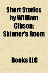 Уильям Гибсон - Skinner's room
