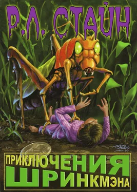 Р. Стайн Приключения Шринкмэна обложка книги