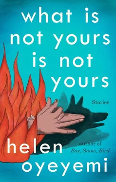 Helen Oyeyemi What Is Not Yours Is Not Yours обложка книги