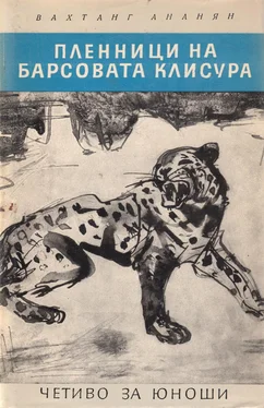 Вахтанг Ананян Пленници на Барсовата клисура обложка книги