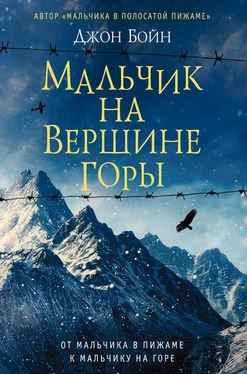 Джон Бойн Мальчик на вершине горы обложка книги