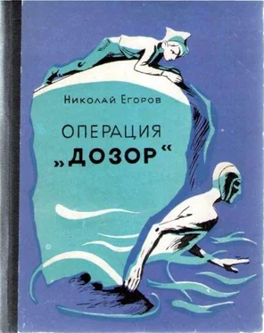 Николай Егоров Операция «Дозор» обложка книги