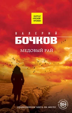 Валерий Бочков Медовый рай обложка книги