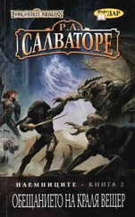 Р. Салваторе - Обещанието на краля вещер