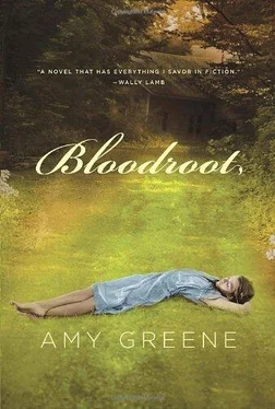 Amy Greene Bloodroot обложка книги